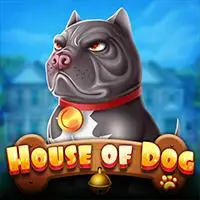 House of Dog